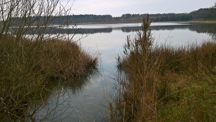 Foto toont ven in Averbode Bos en Heide