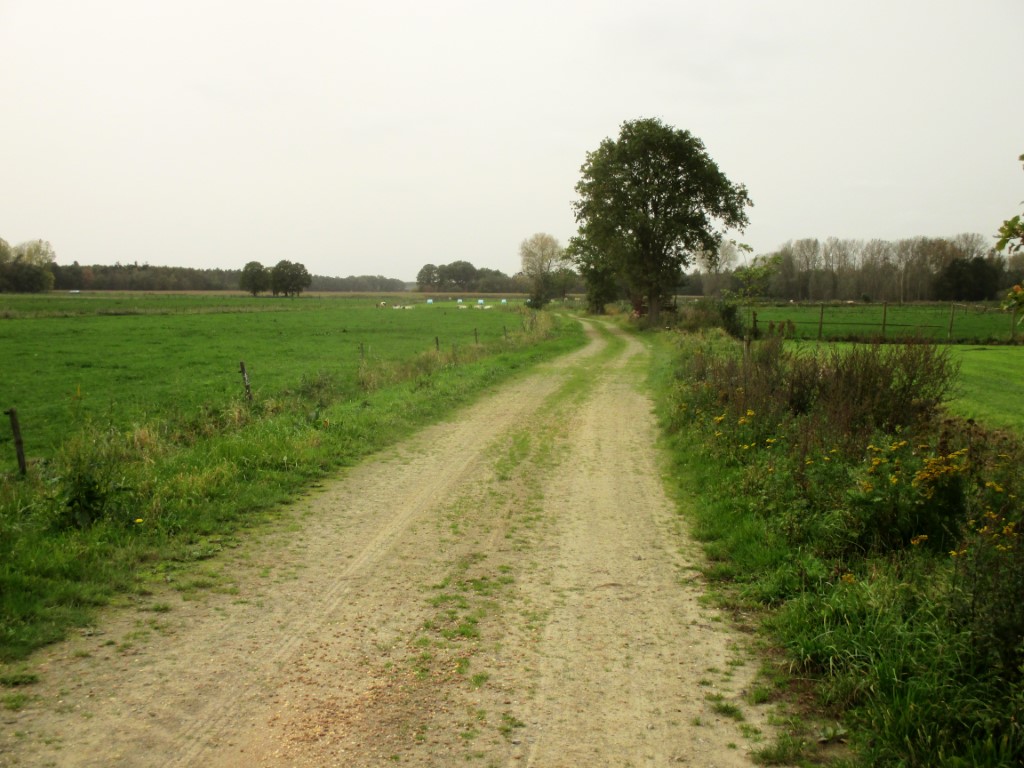 voorbeeld weg in steenslag