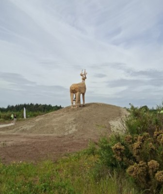 houten ree op uitkijkheuvel