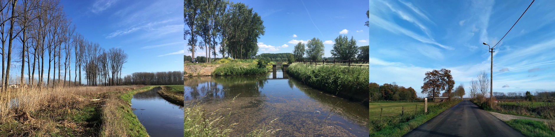 Collage van het gebied