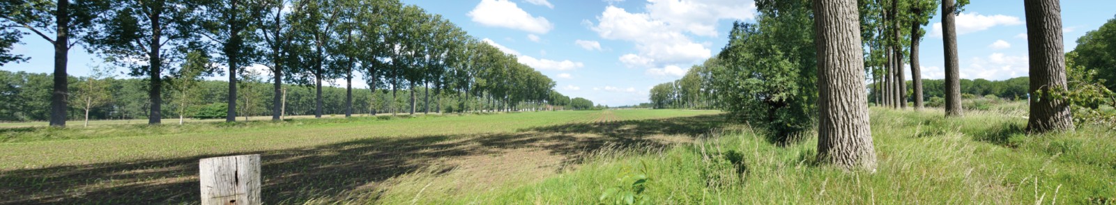 Huidige situatie Oostdonk (juni 2022)