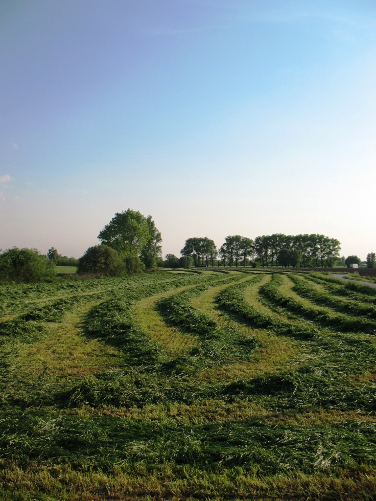 hooilanden