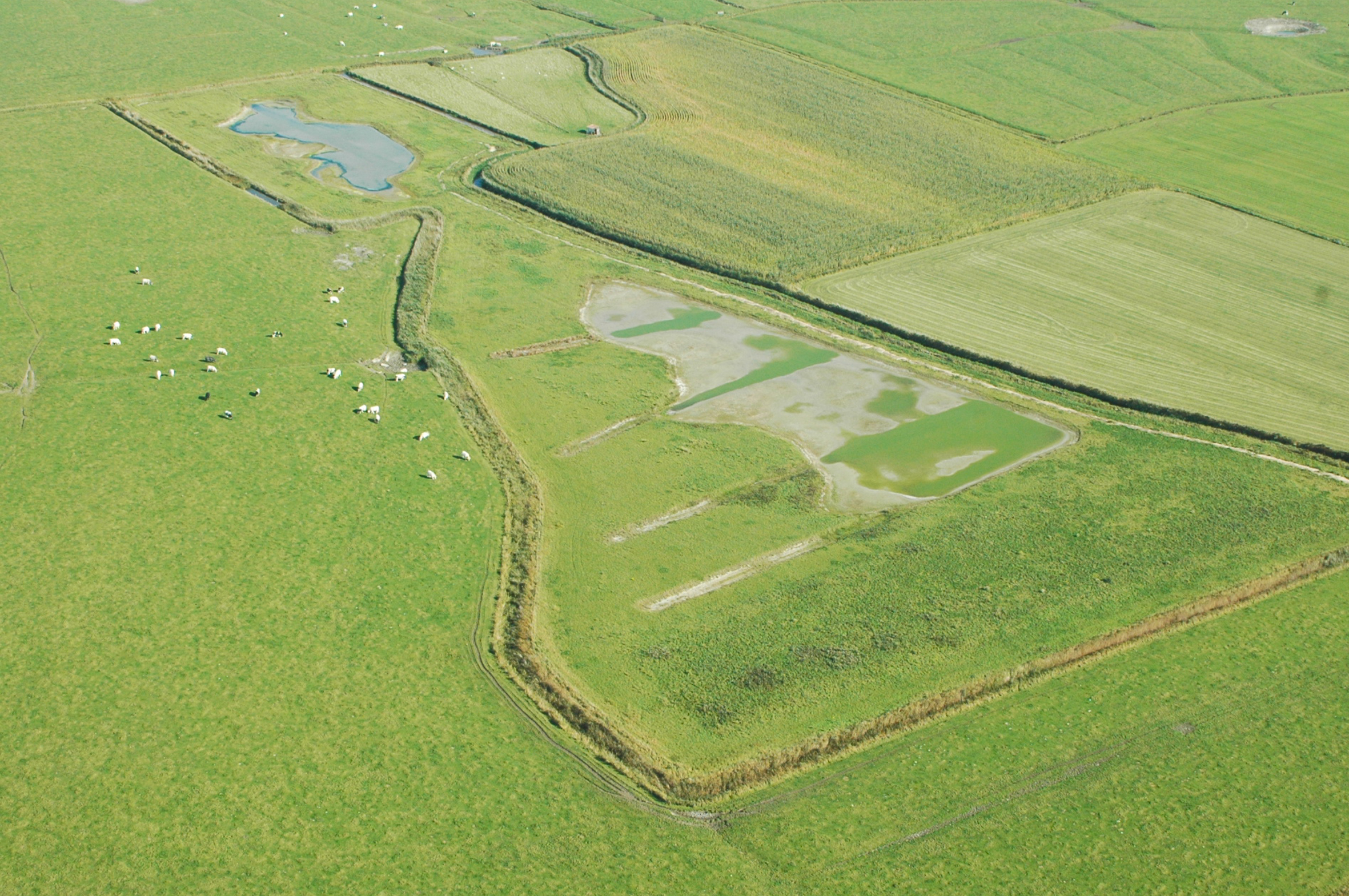 luchtfoto weides in de Oudlandpolder