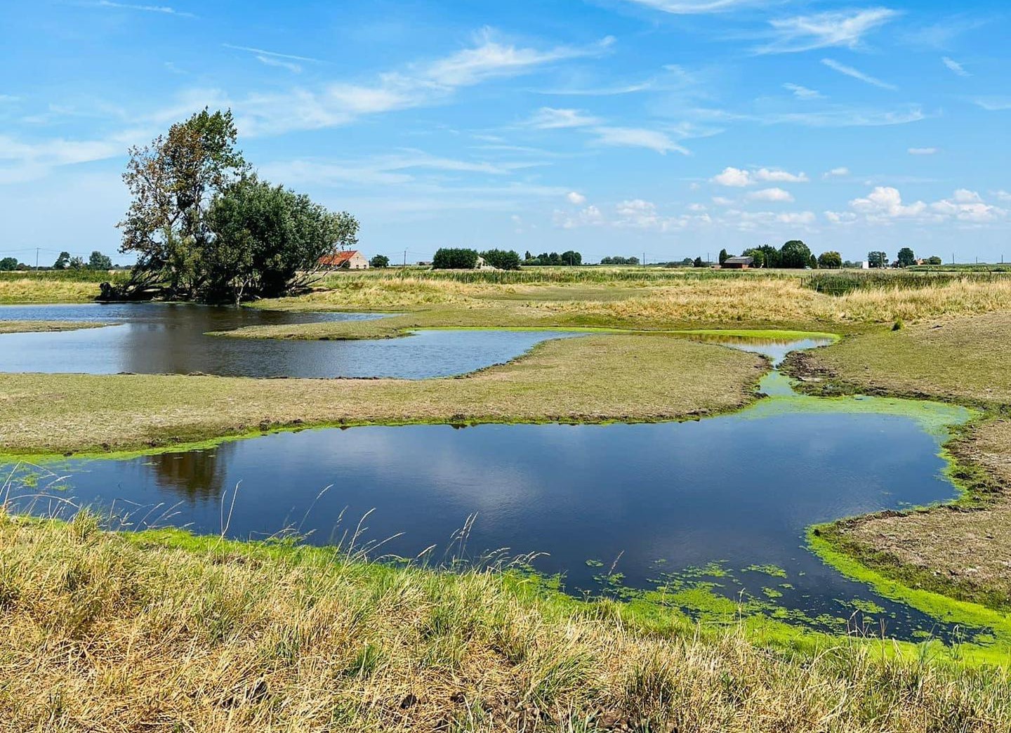 weiland met waterpartij en blauwe lucht