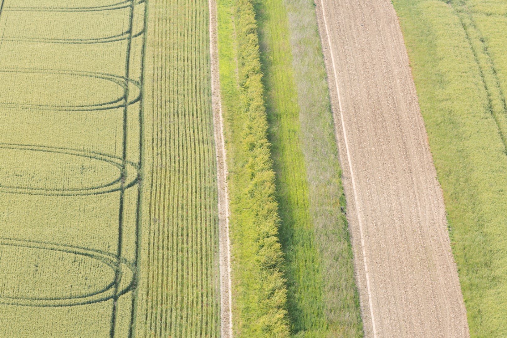 bloemenstroken in luchtfoto