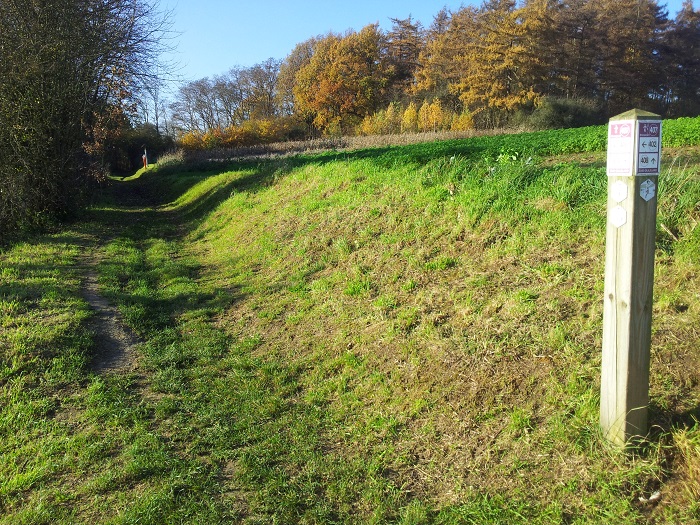 Foto toont wandelpad waaronder de vroegere trambedding ligt