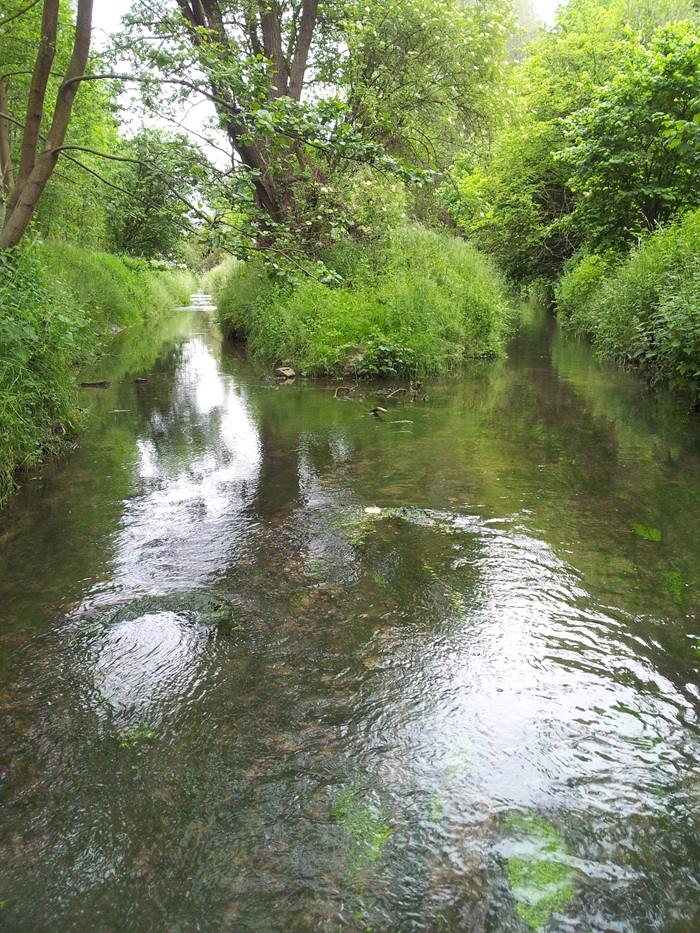 De IJse in centrum Huldenberg