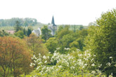 landschap met veel fruitbomen en een kerktoren op de achtergrond