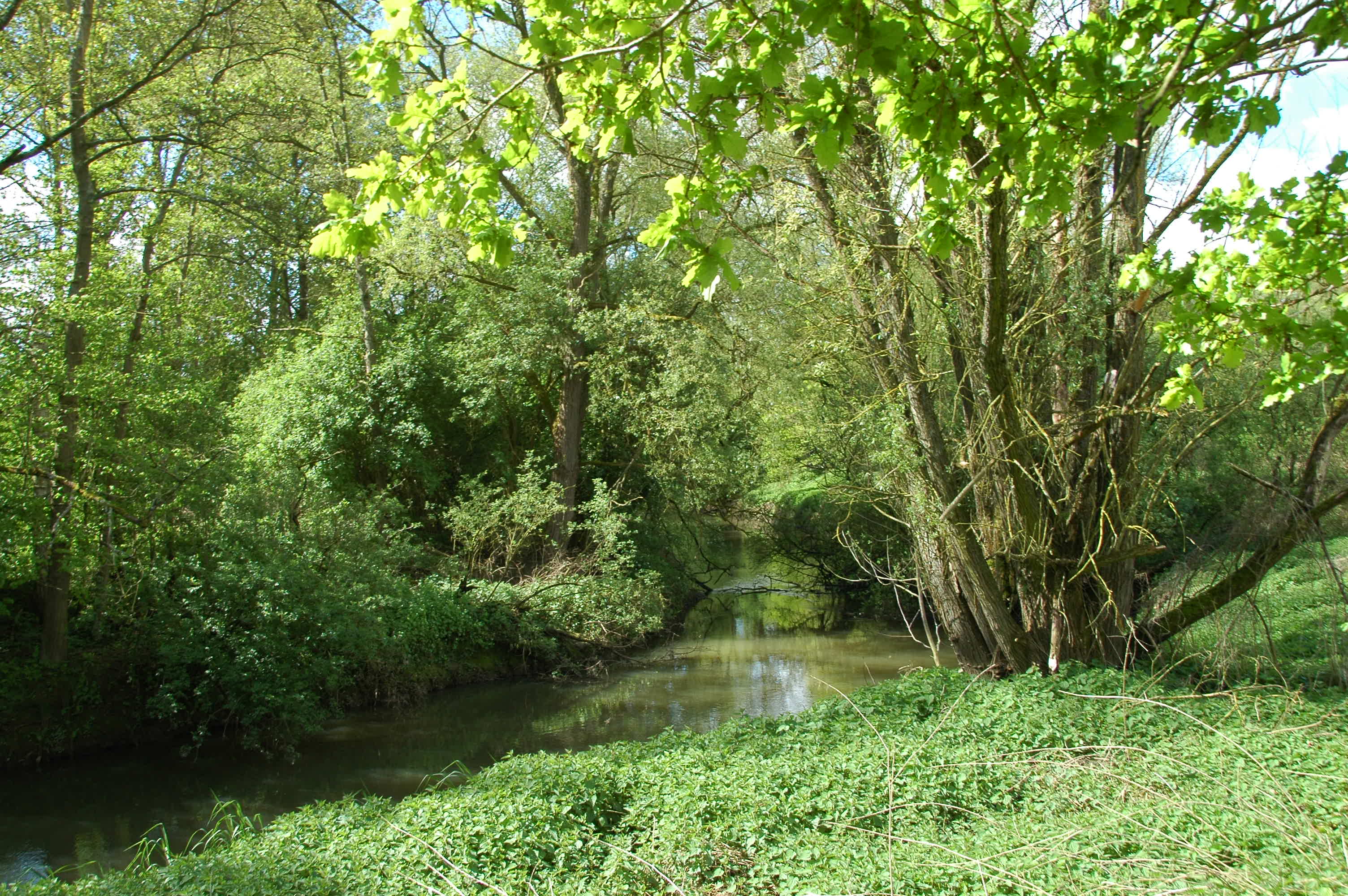 Markebeek beeklandschap