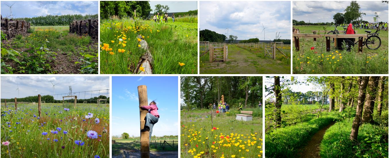 collage koppelingsgebied