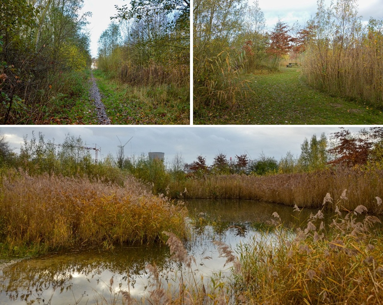 Margaretapark, omgeving Geuzenhoek