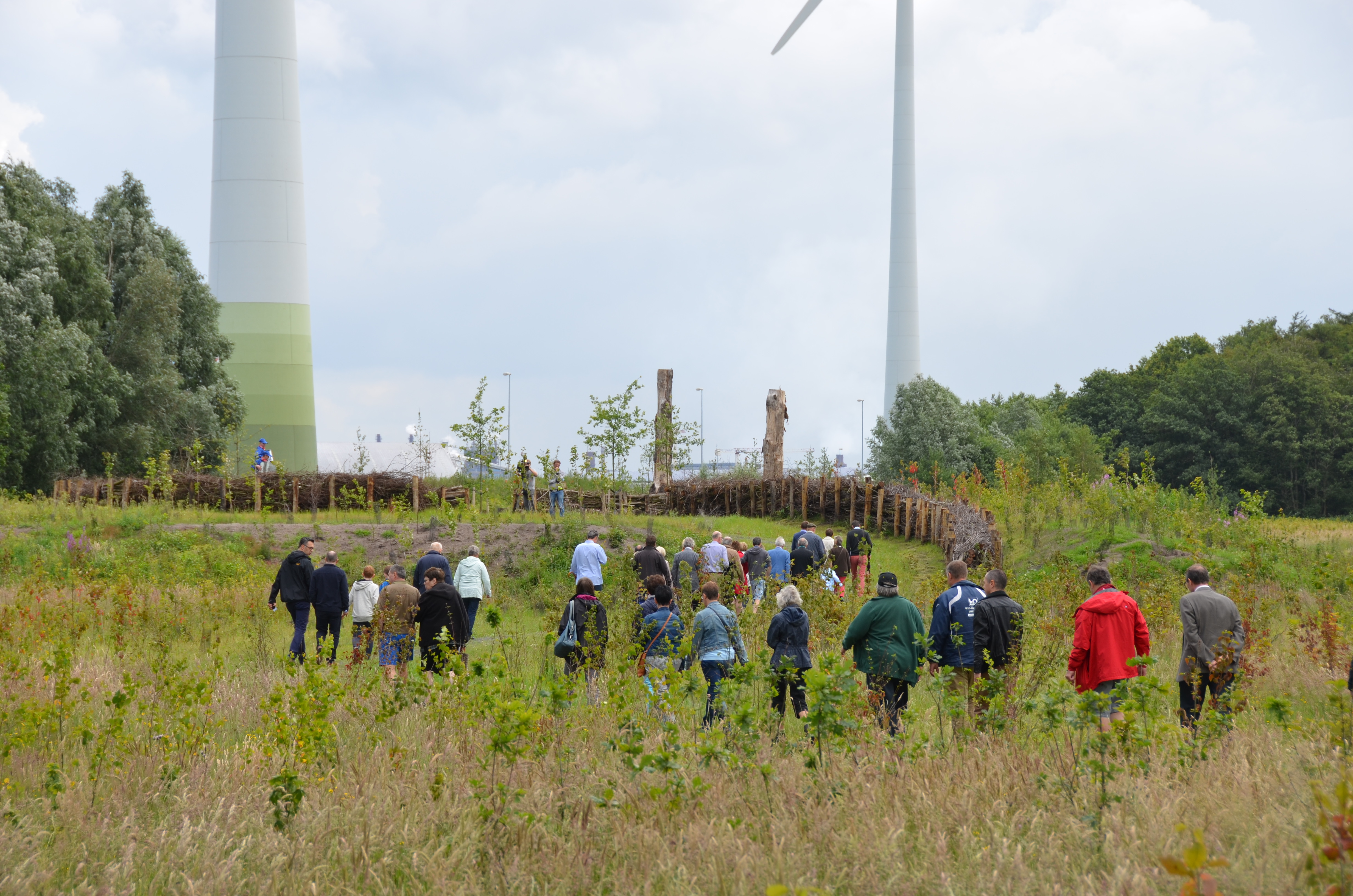 Natuurlijke elementen voor spel en natuur