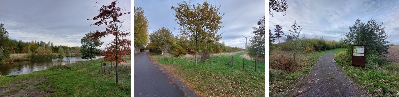 aanplantingen in Rieme-Zuid