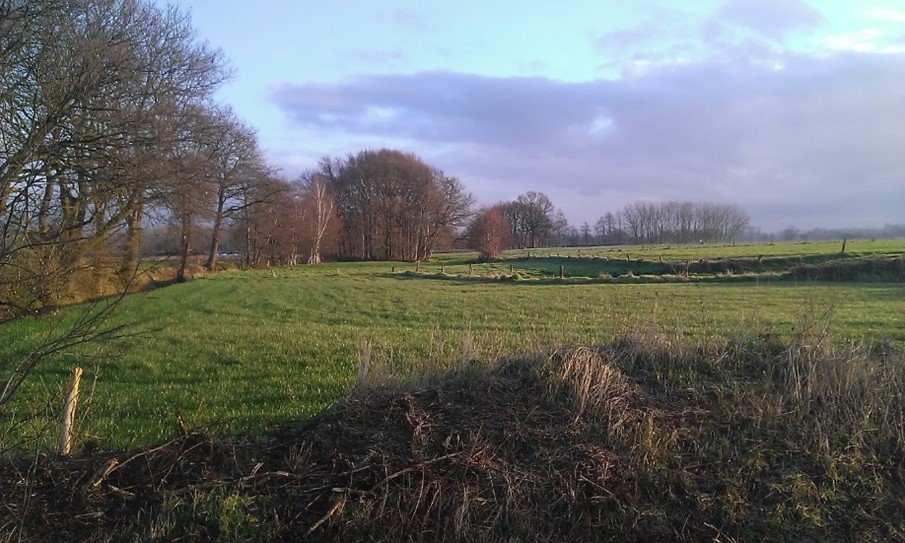 Foto toont landschap in de ruilverkaveling