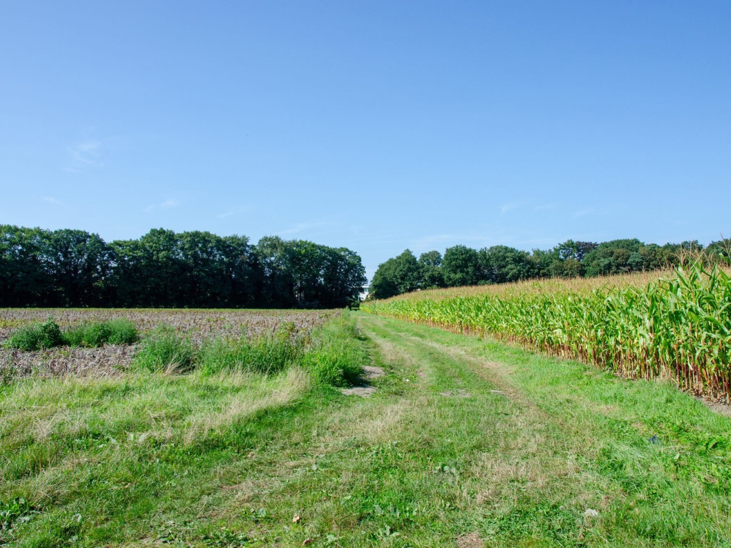 situatie voor aanleg fietspad (zomer 2024)
