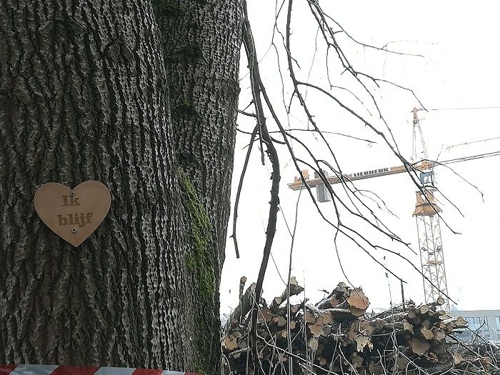 Foto toont boom met bordje en tekst ik blijf