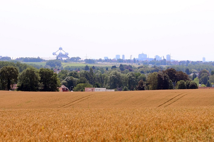 Foto toont landschap in de Groene Noordrand