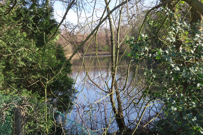 Photo montre l'étang Geevaert