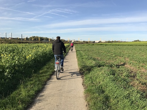 Foto toont fietsers op een fietspad in het landschap Groene Noordrand