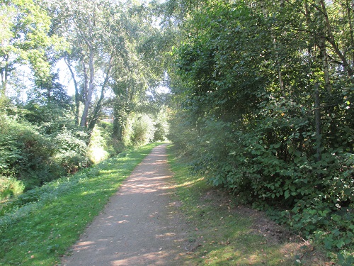 Foto toont wandelweg in de buurt van de VUB vijver