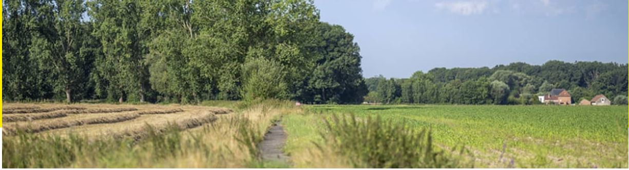 Plaats in het gebied Westrode Morgen