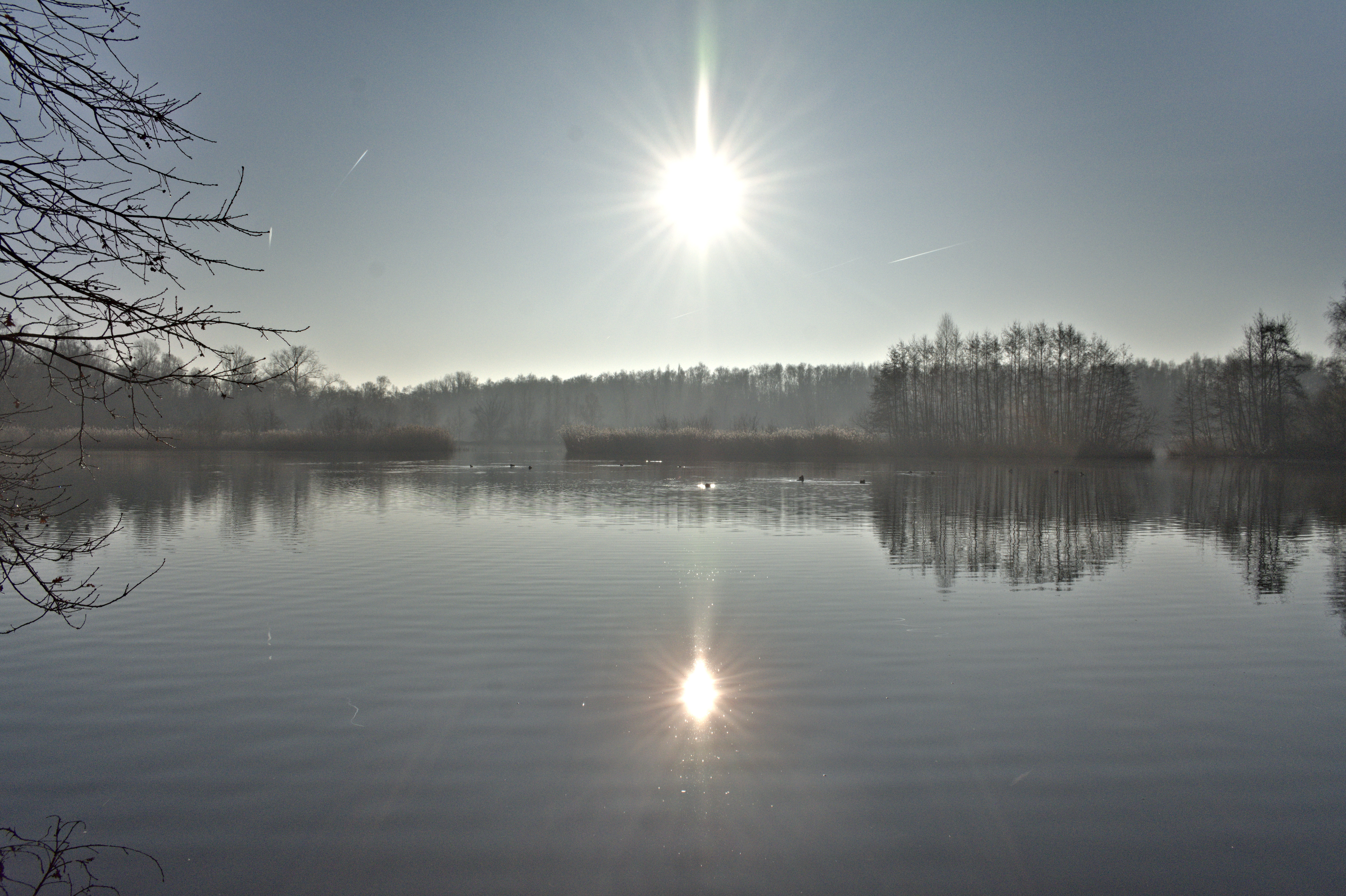 Vijver in walenhoek met opkomende zon