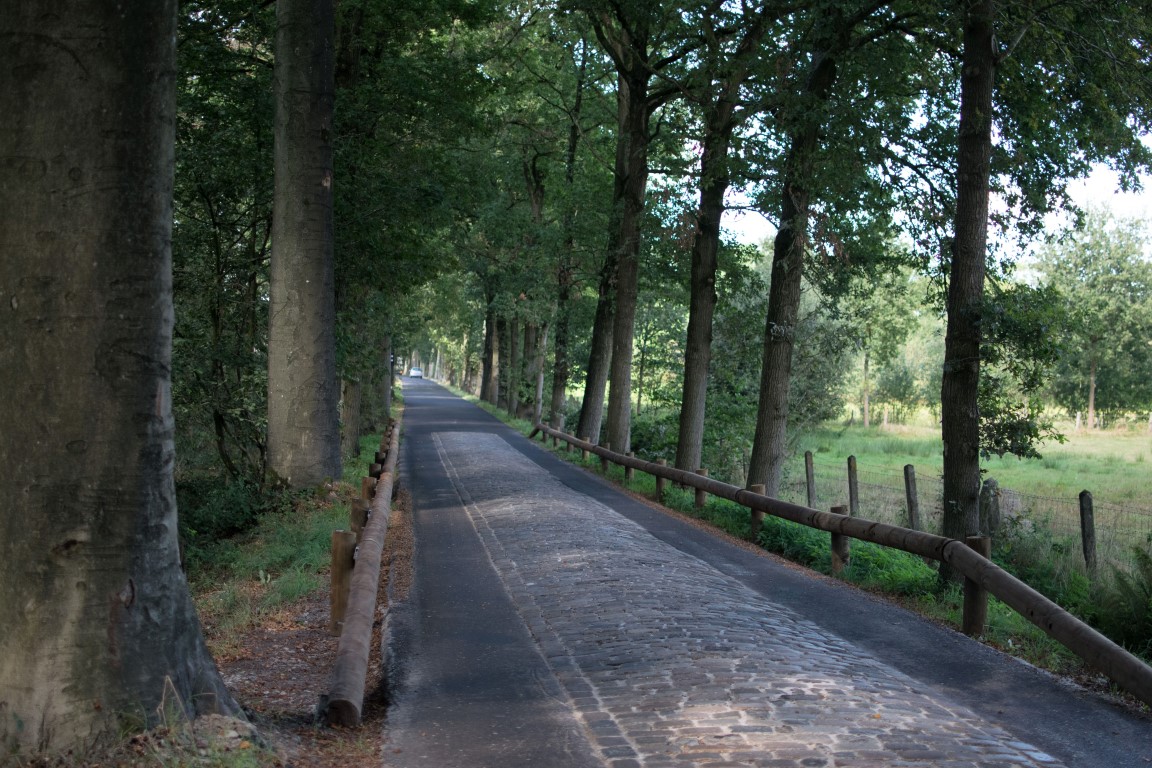 Heirweg met verkeersremmer bestaande uit kasseistrook in het midden van de weg