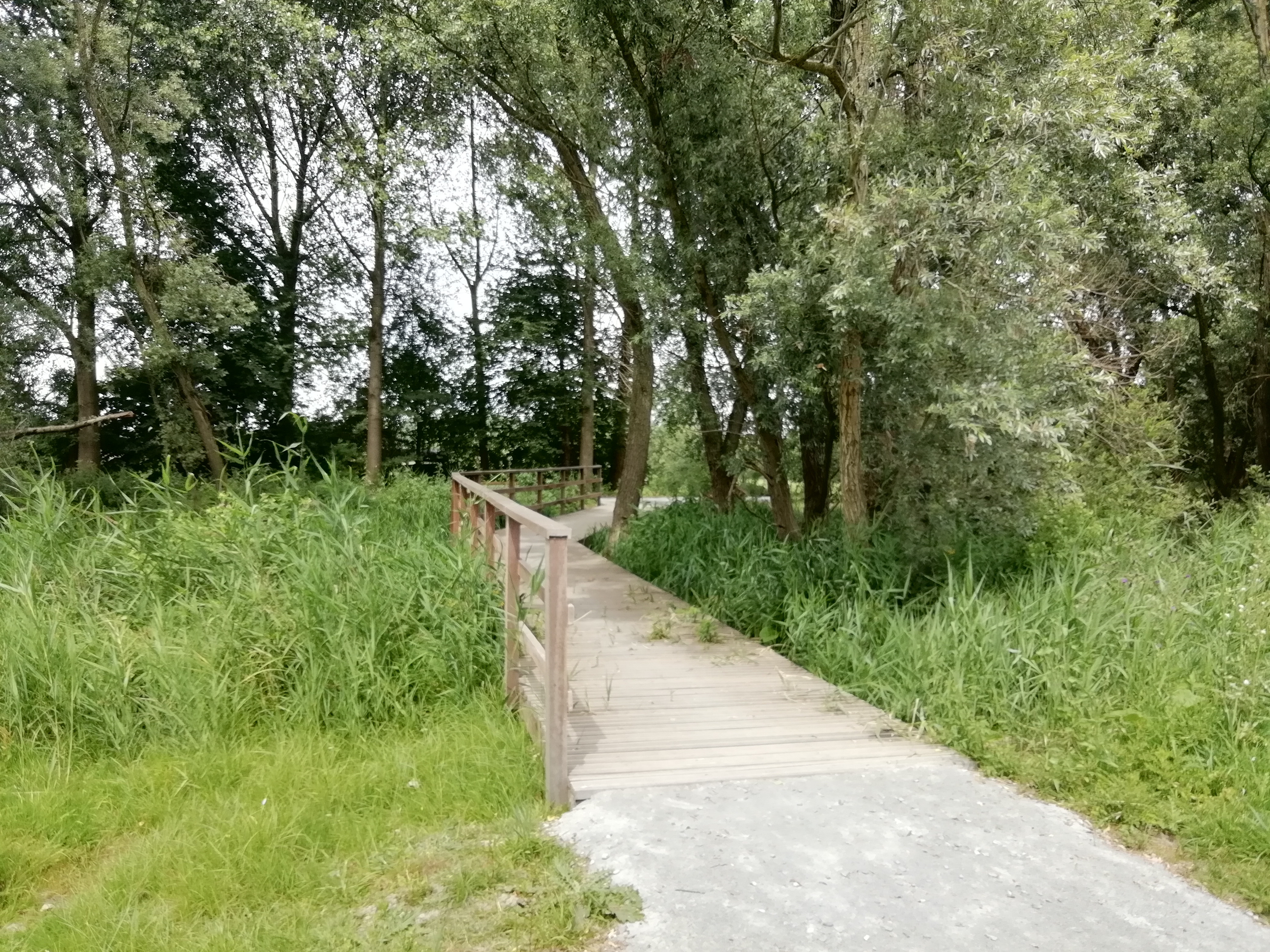 wandelpad met vlonder in de nattere zones