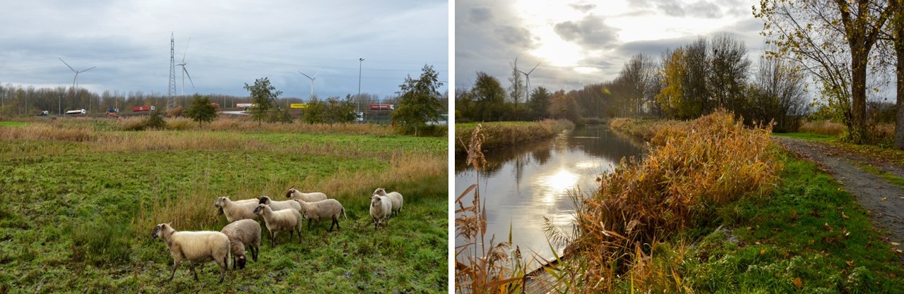collage Sint-Kruis-Winkel-Zuid