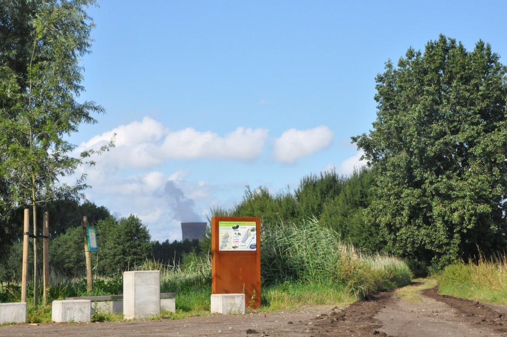 wandelweg in groene omgeving