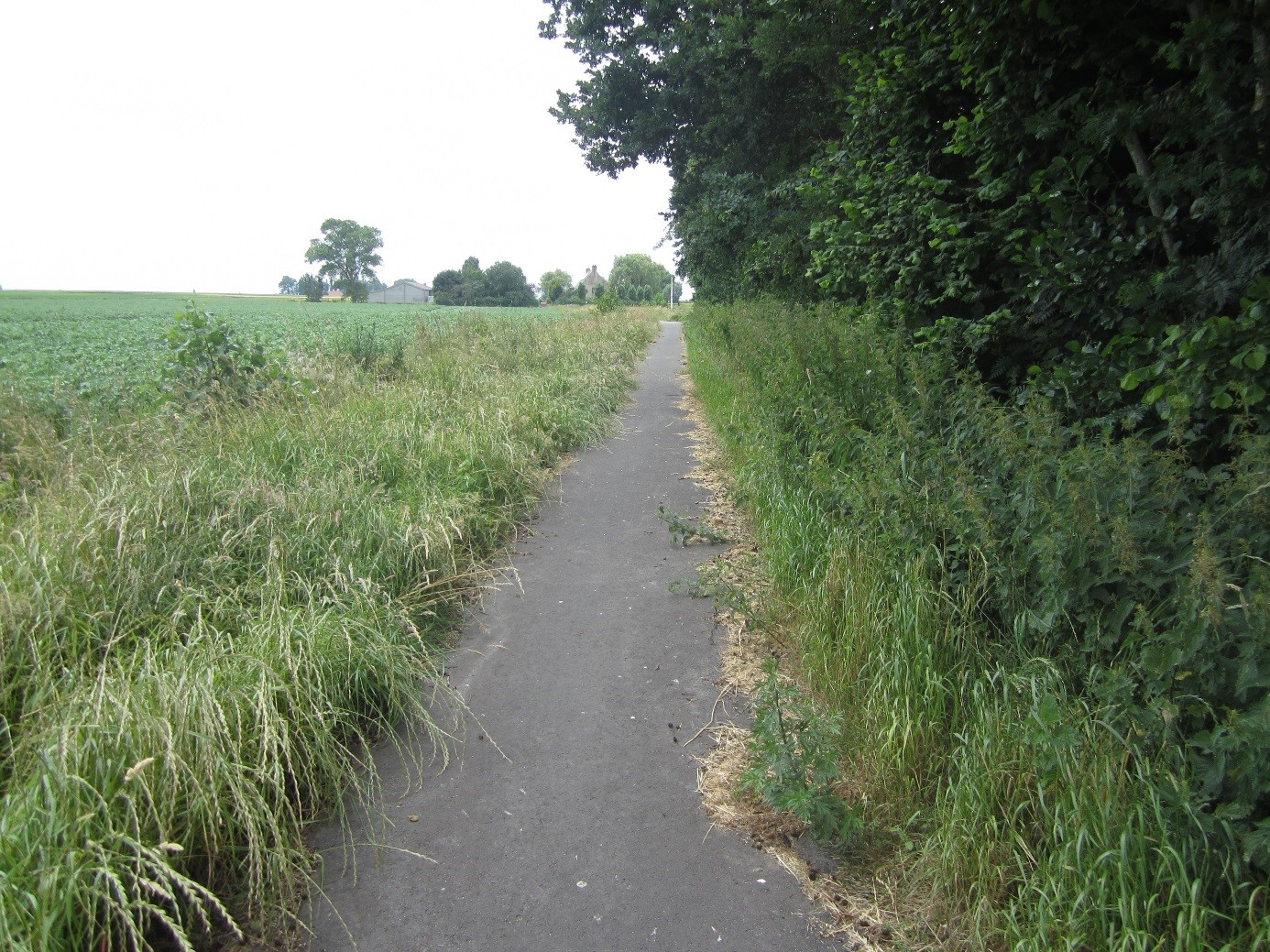 Fietsverbinding Papestraat