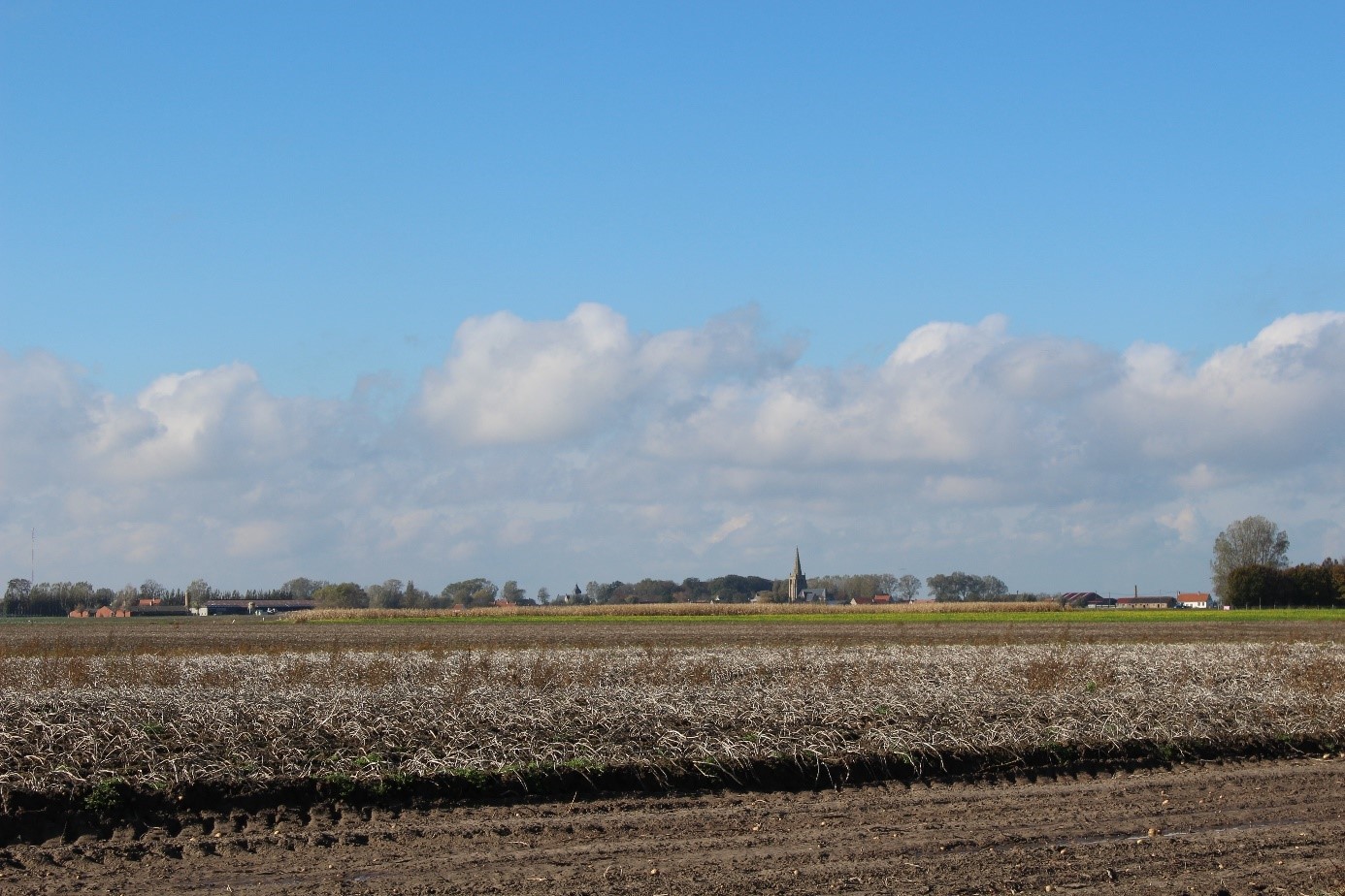 landschap met akkers en kerktoren