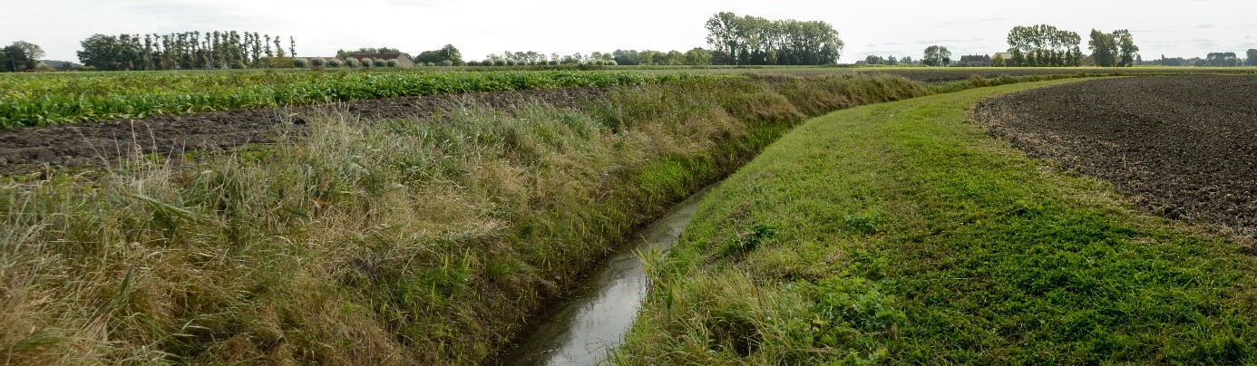 landschap met beek en grasbufferstrook