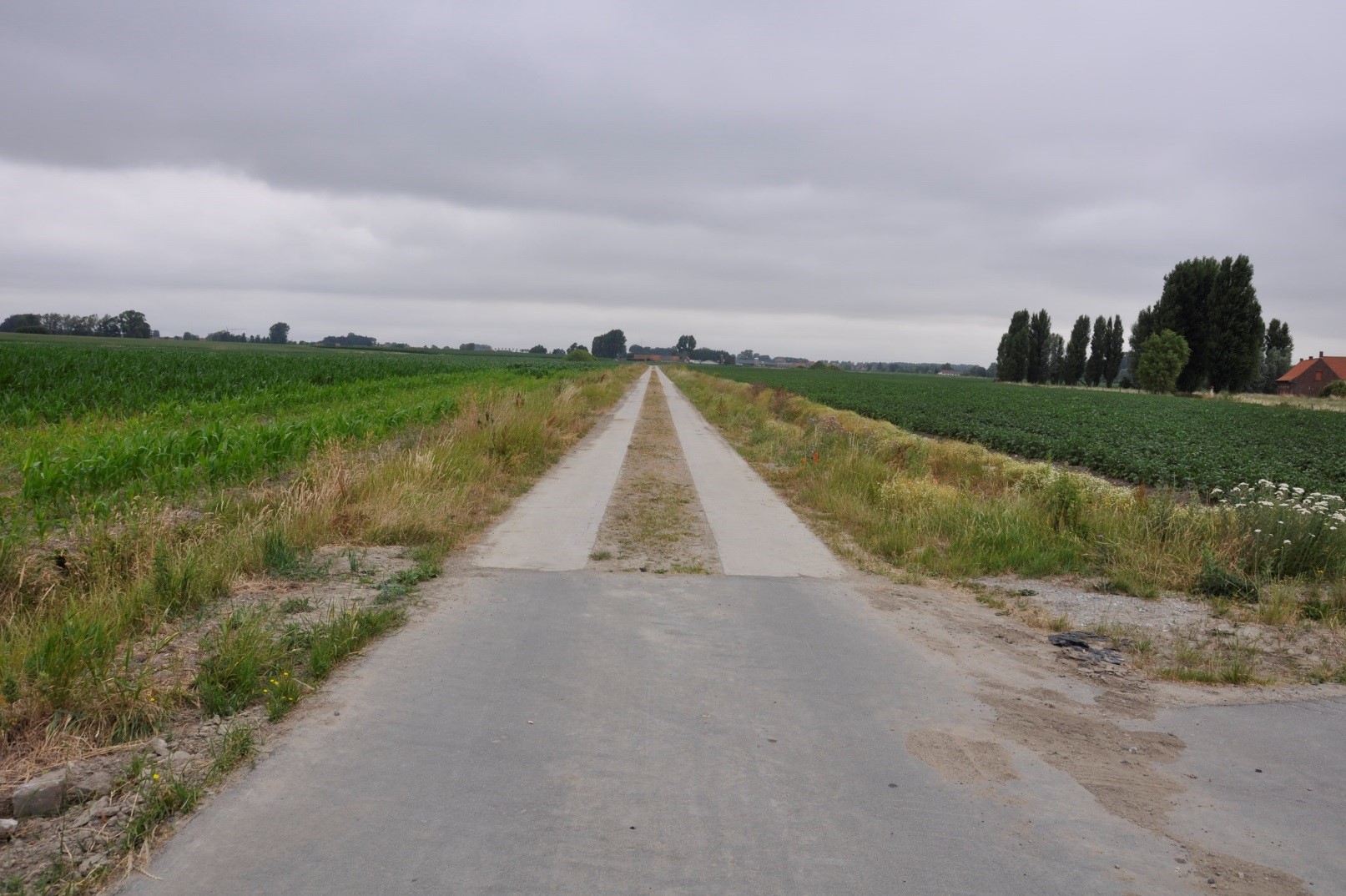 tweesporenbetonweg