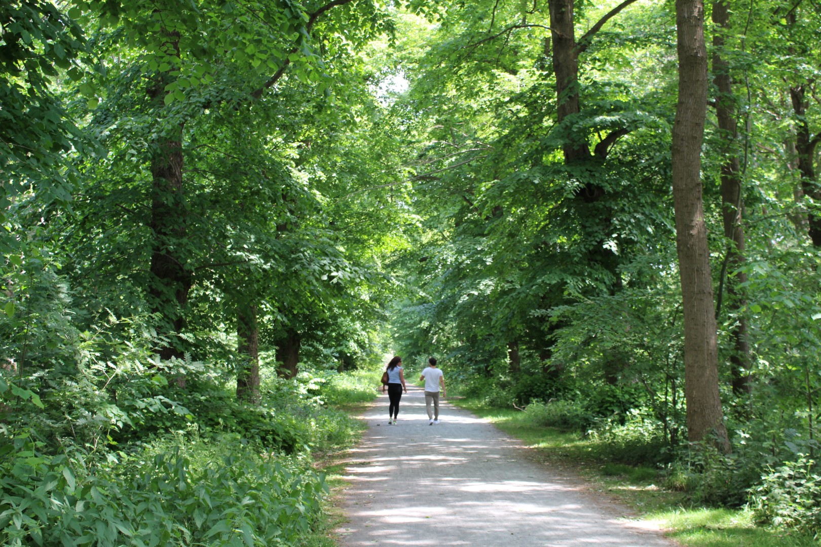 wandelaars in Astenedreef