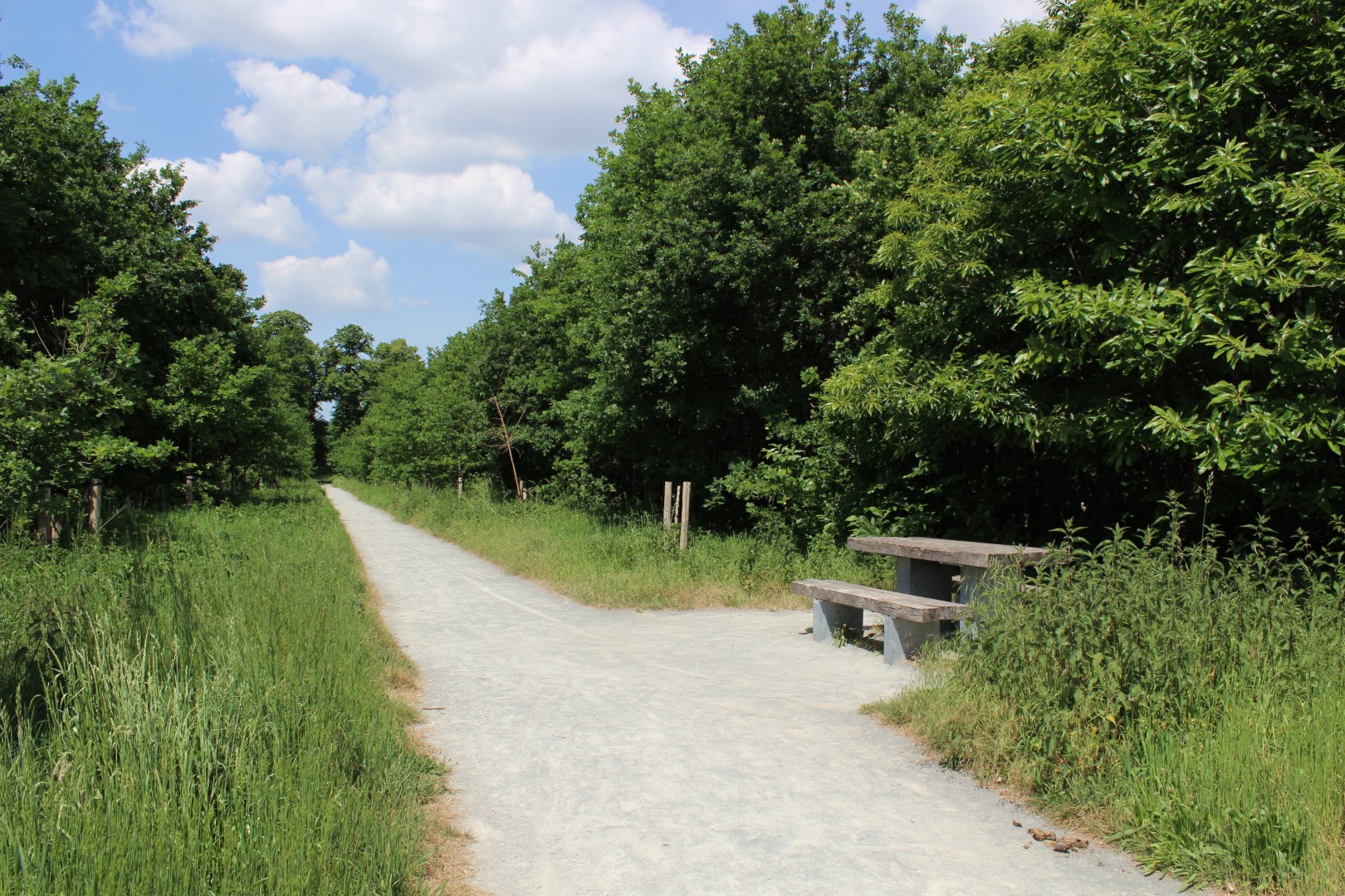 noord-zuid dreef tussen de spoorweg en Astenedreef
