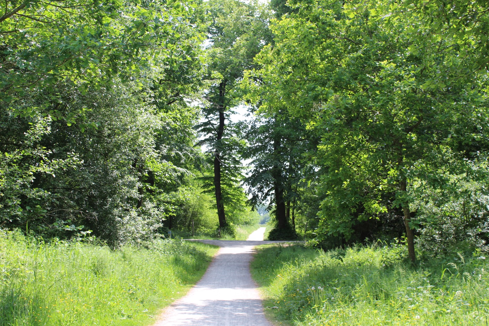 noord-zuid dreef tussen de spoorweg en Astenedreef
