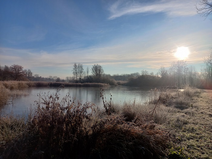 Foto toont de vijver met opkomende zon