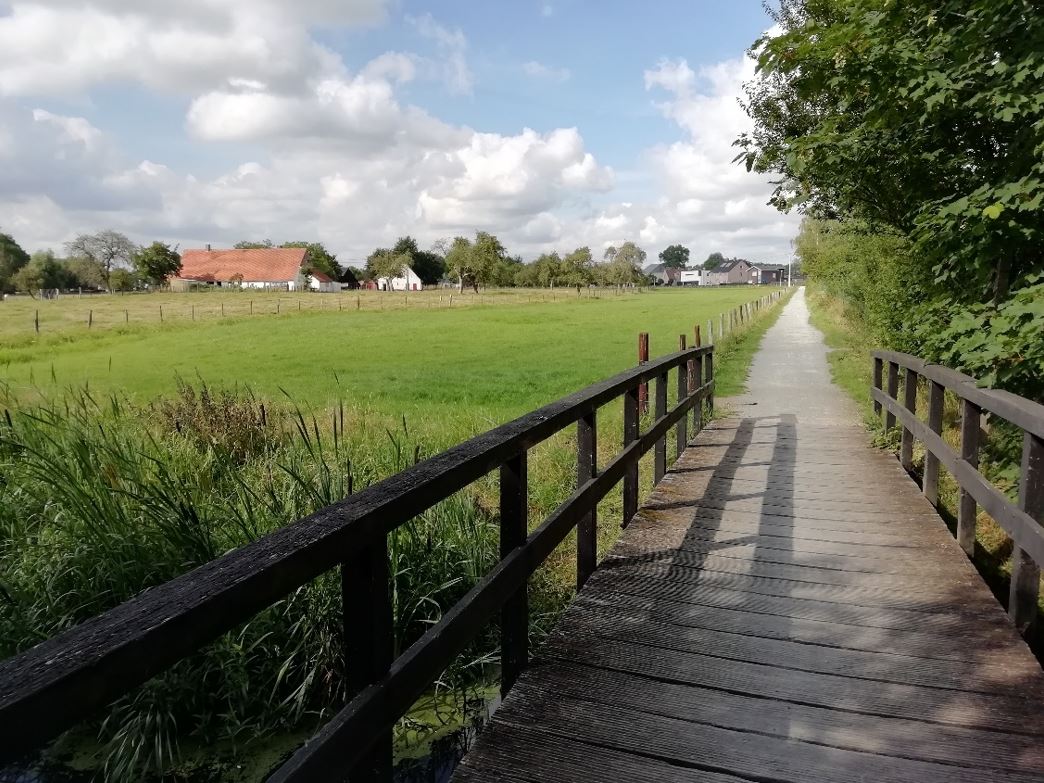Brug over de Rekkelingebeek 