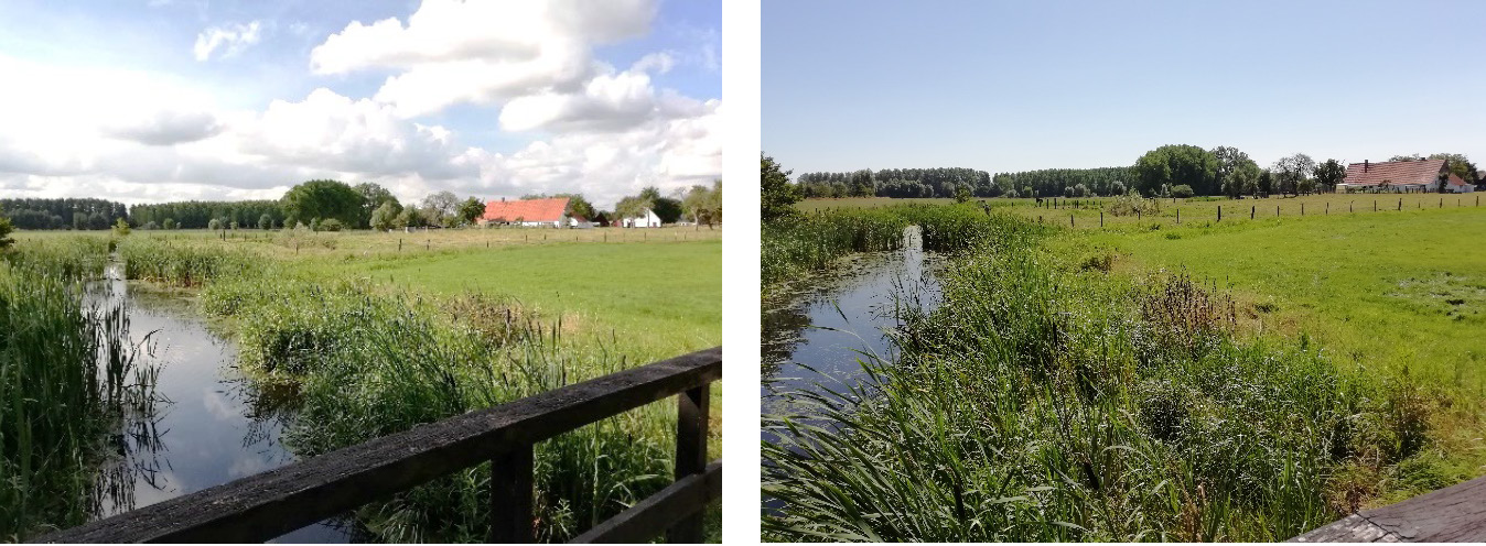 Rekkelingebeek