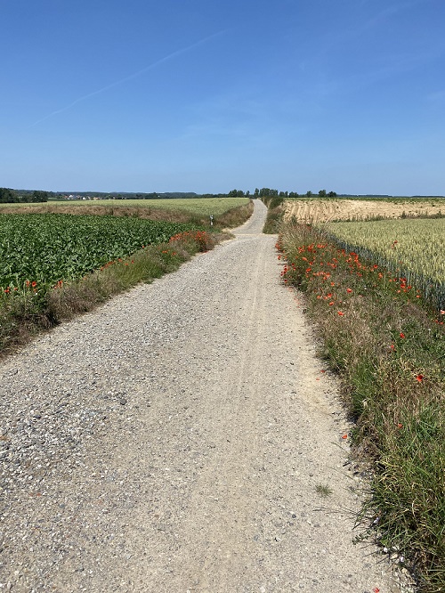 Foto toont voorbeeld van een grindweg