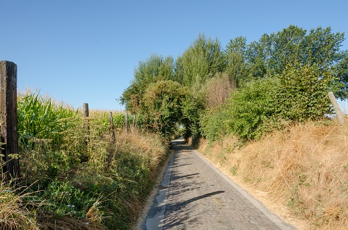 Foto toont voorbeeld van een kasseiweg