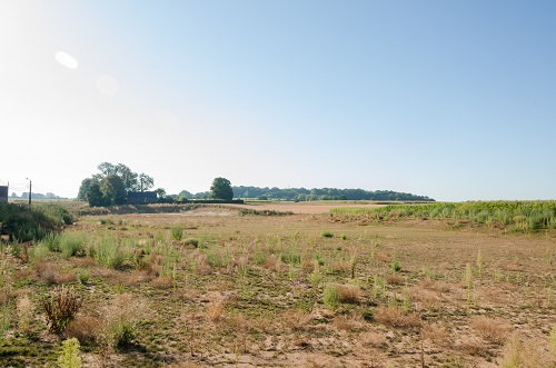 Foto toont wachtbekken in Opvelp