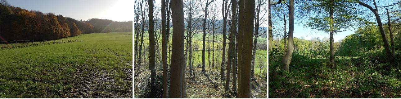 een kijk op de Vlaamse Ardennen