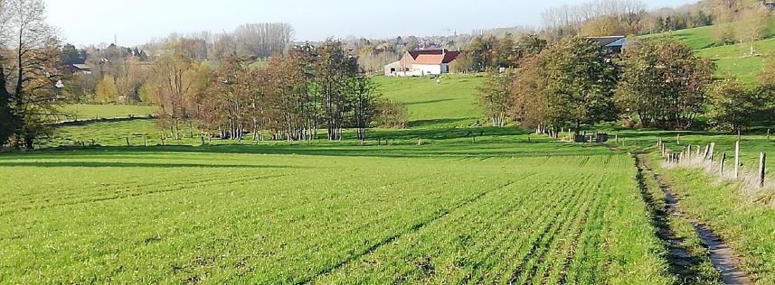 sfeerbeeld Vlaamse Ardennen