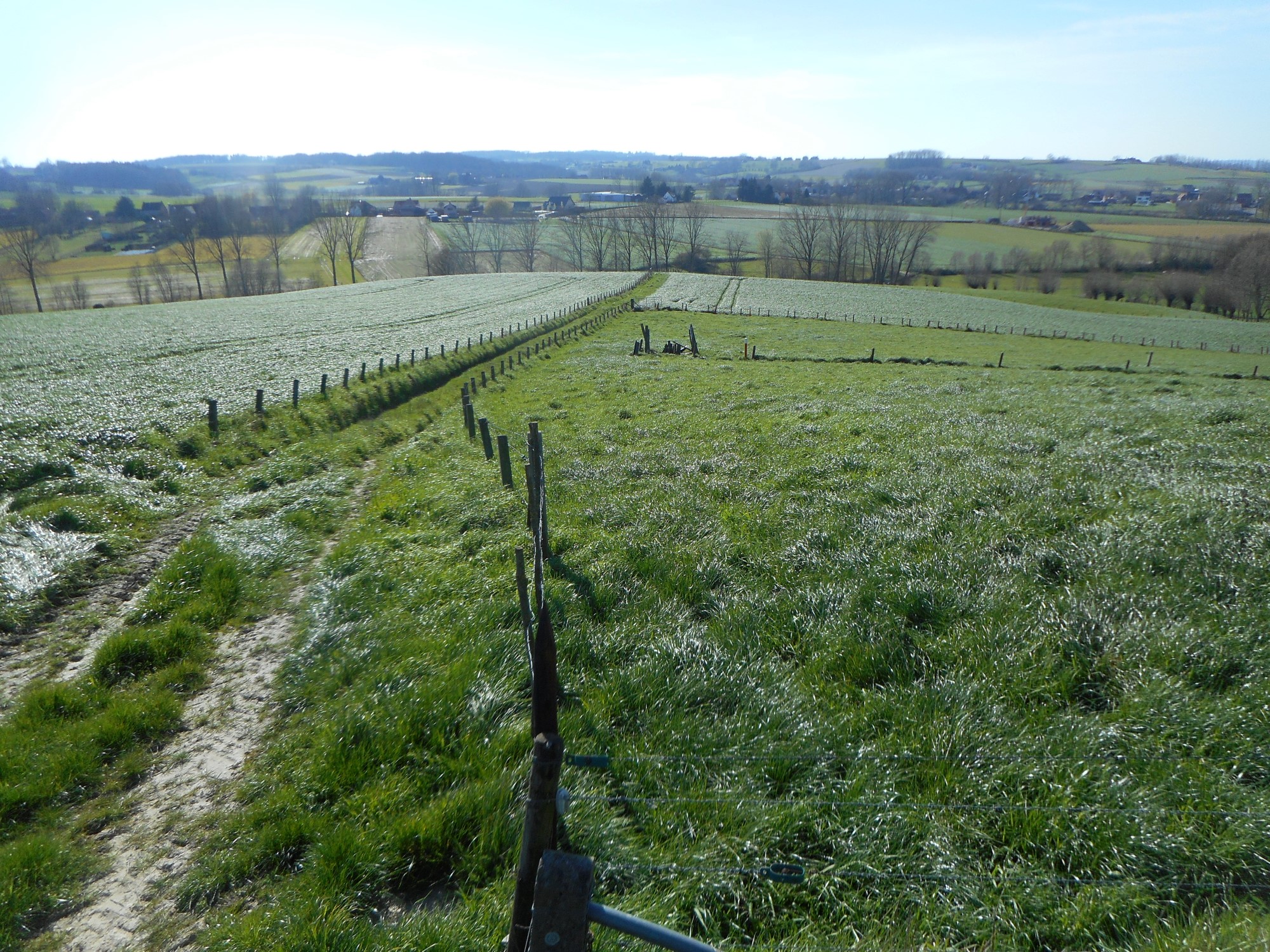 glooiend landschap in de Vlaamse Ardennen