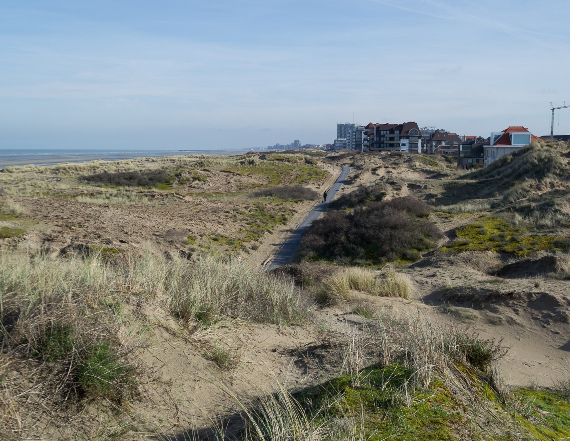 beeld met duinen, bebouwing, weg door de duinen, zee