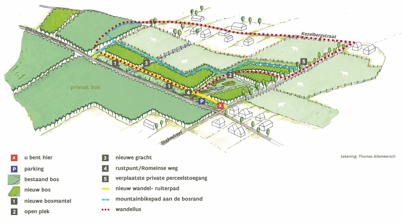 Visualisatie nieuw bos 'Ockerhout'