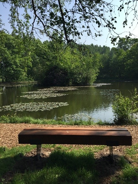 Zitbankje naast wandelpaadje in het bos