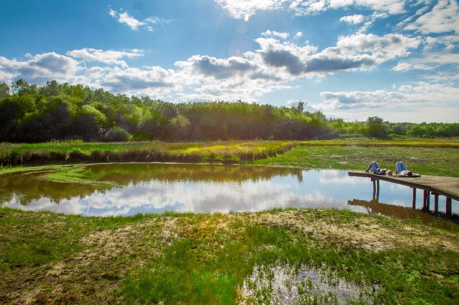 Sfeerbeeld landschapspark Bulskampveld 